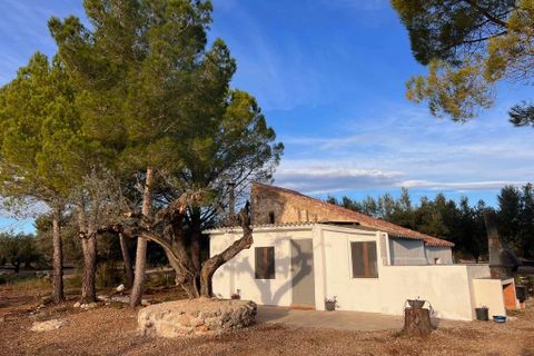 Landhaus in Sant Carles De La Rapita, Tarragona - Foto 2